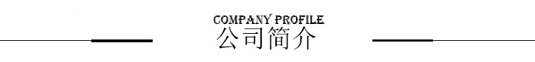 公司簡介